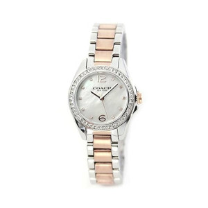 Coach Tristen Mini Analog Women's Watch Two-Tone (14502105)