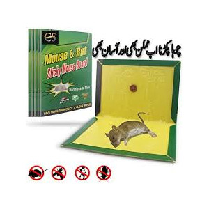 Genshirt Every Mouse and Rat Trap Glue Book