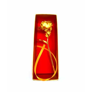 ZS Multi Store 24k Rose Golden Color