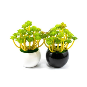 ZS Store Artificial Plant & Pots Ceramic For Home Decoration - Pack of 2