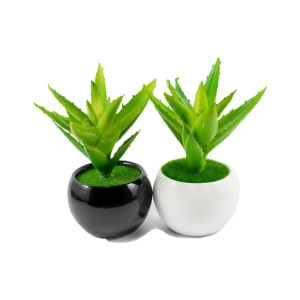 ZS Store Artificial Plant Bonsai Pot Ceramic - Pack of 2