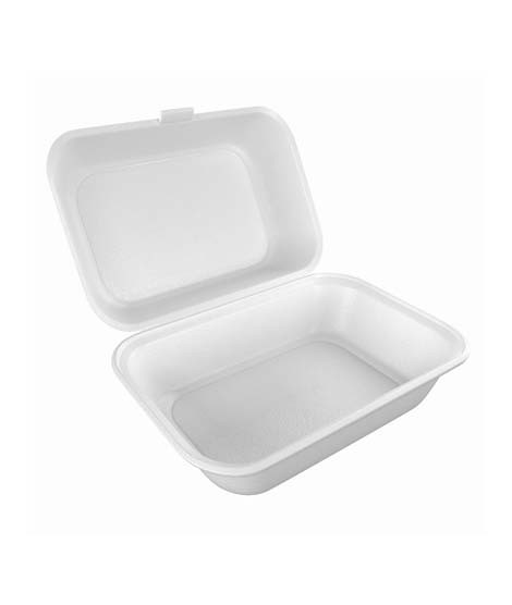iShopping - Diyan-e-Store Disposable Food Box Large Pack Of 20